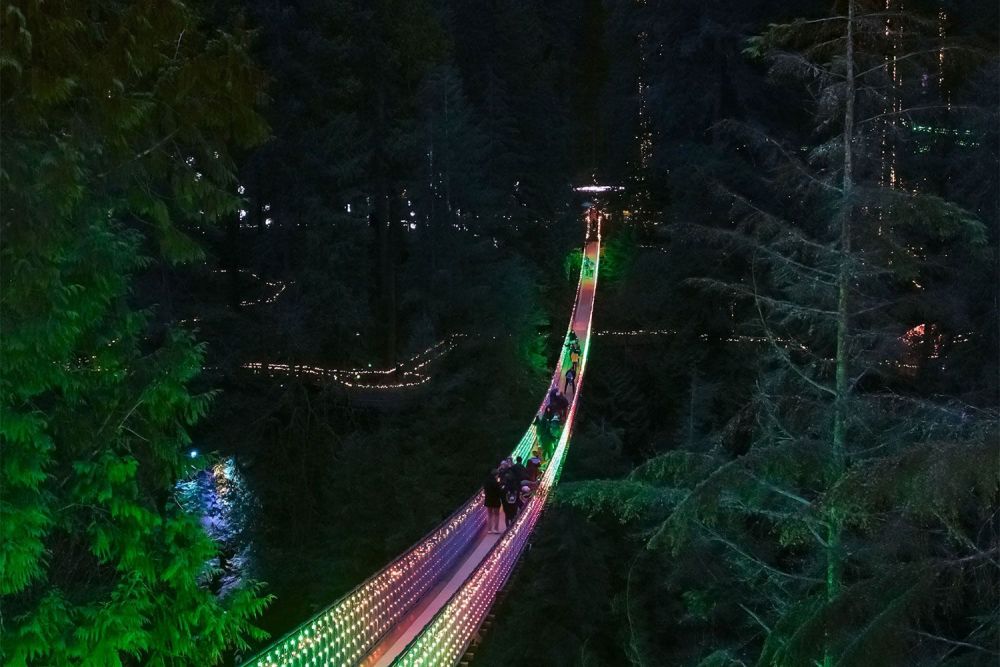 Capilano Suspension Bridge with Canyon Lights Tour