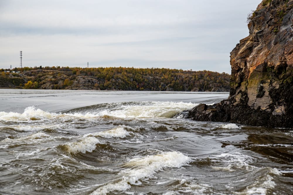 reversing falls rapids saint john