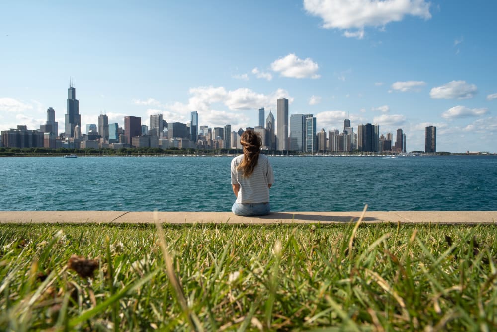 adler viewpoint chicago