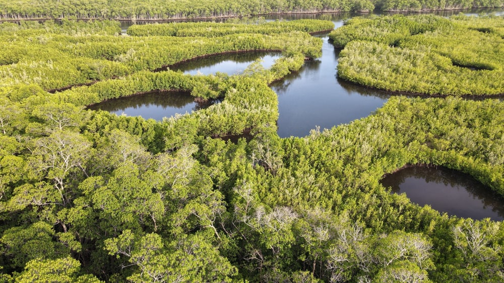 Everglades National Park unsplash