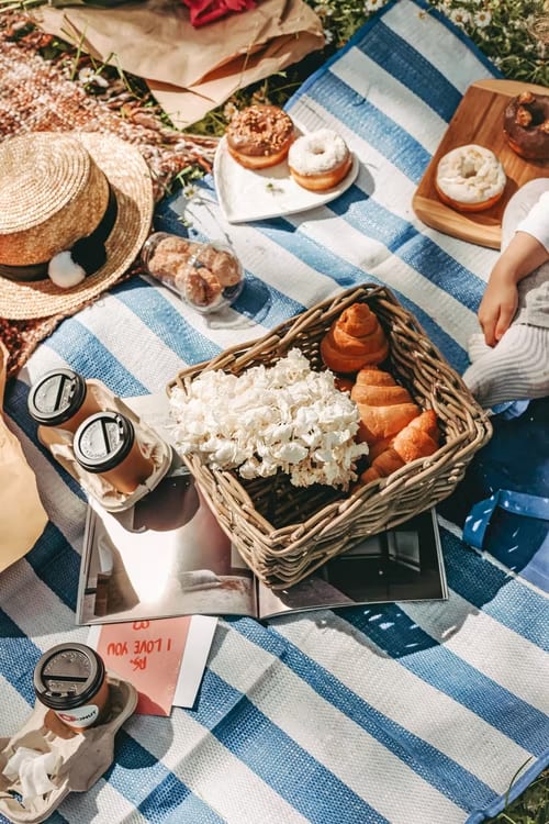 Picnic
