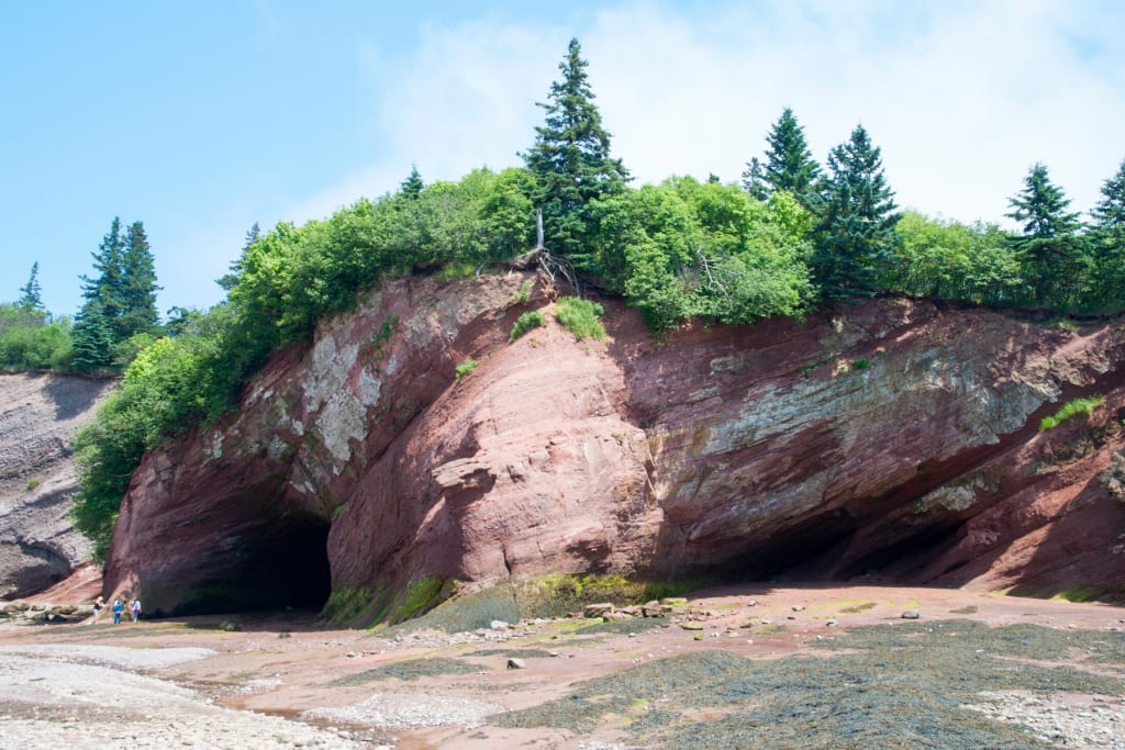 Bay of Fundy National Park