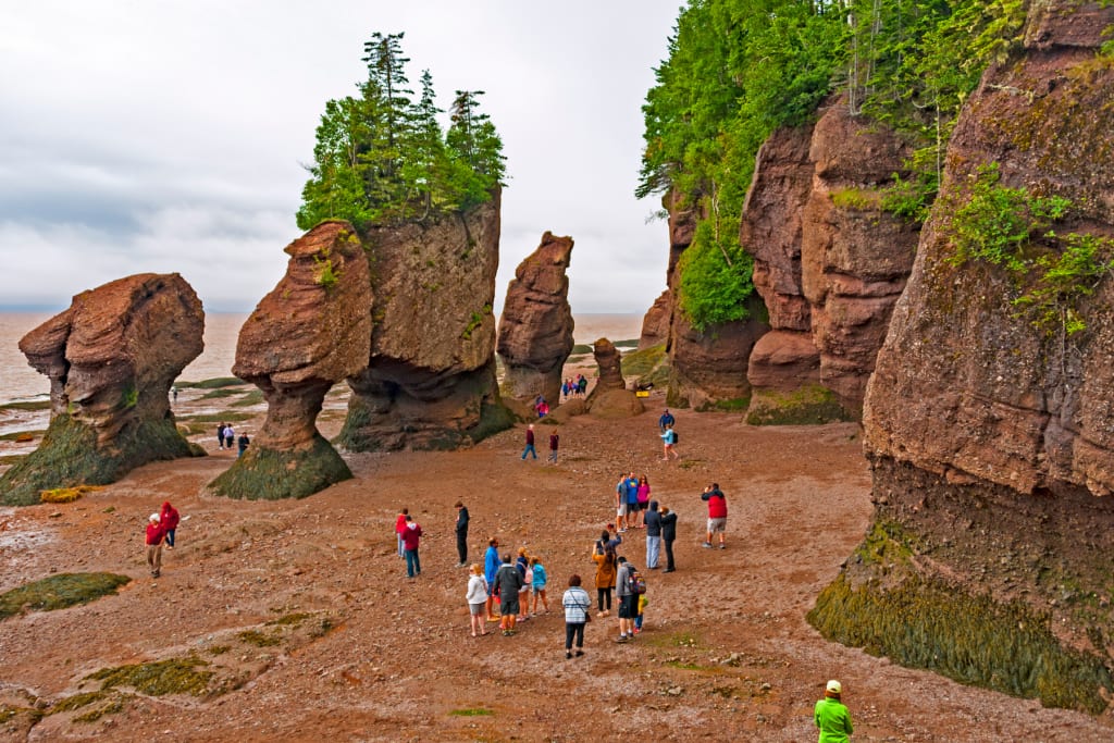 Hopewell Rocks Main