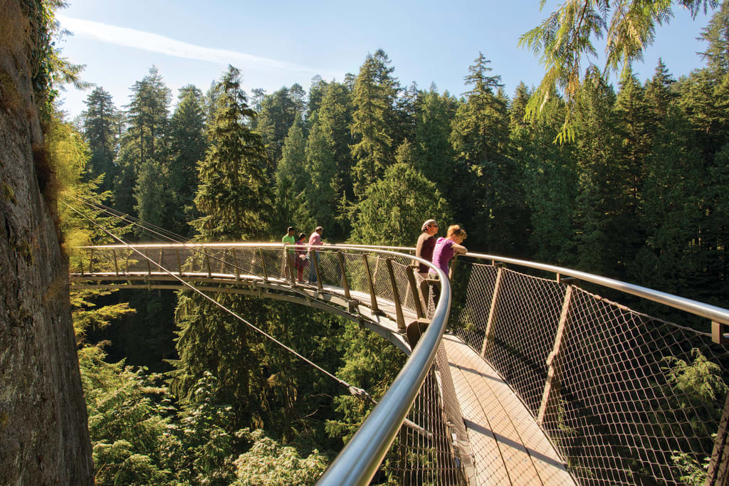 Ultimate Vancouver Tour with Capilano Suspension Bridge and Lunch.jpg