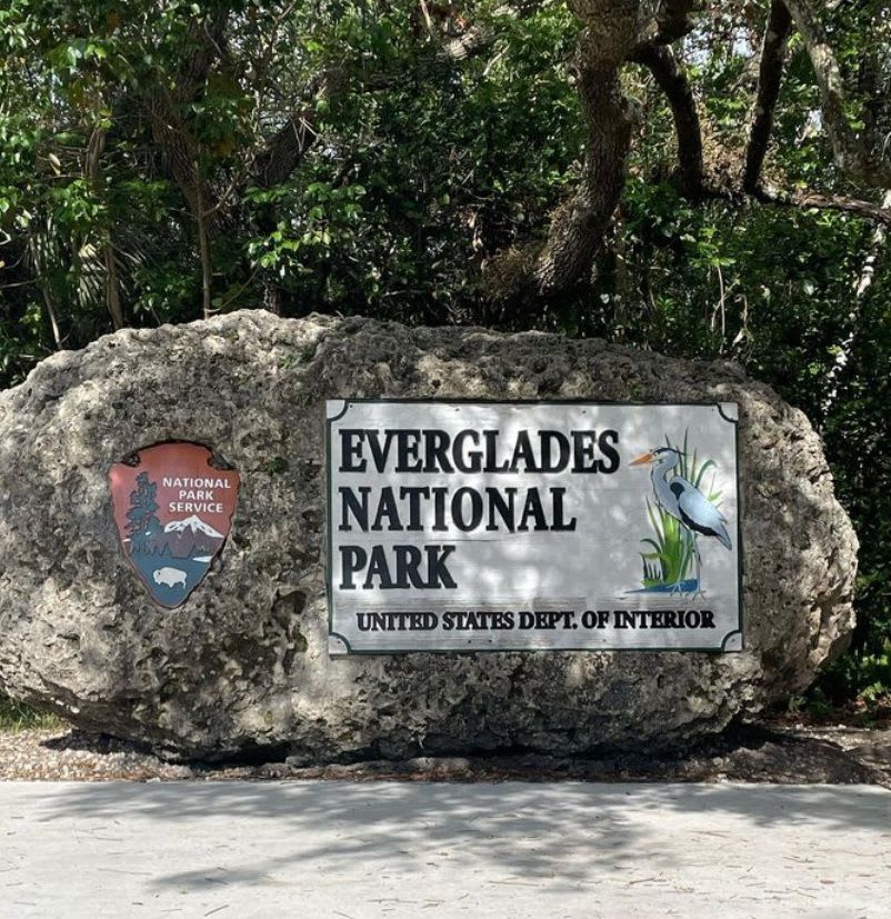 Going to Everglades National Park: Airboat Tour and Wildlife Show