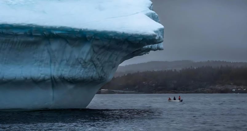 iceberg viewing in Newfoundland