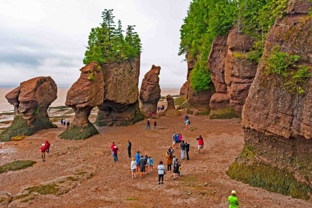 Moncton to Hopewell Rocks Express Tour Bild 1