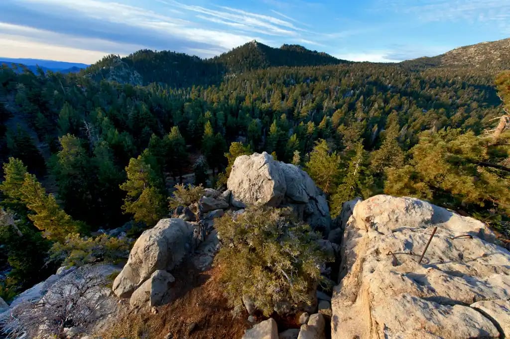 Mount San Jacinto State Park.jpg