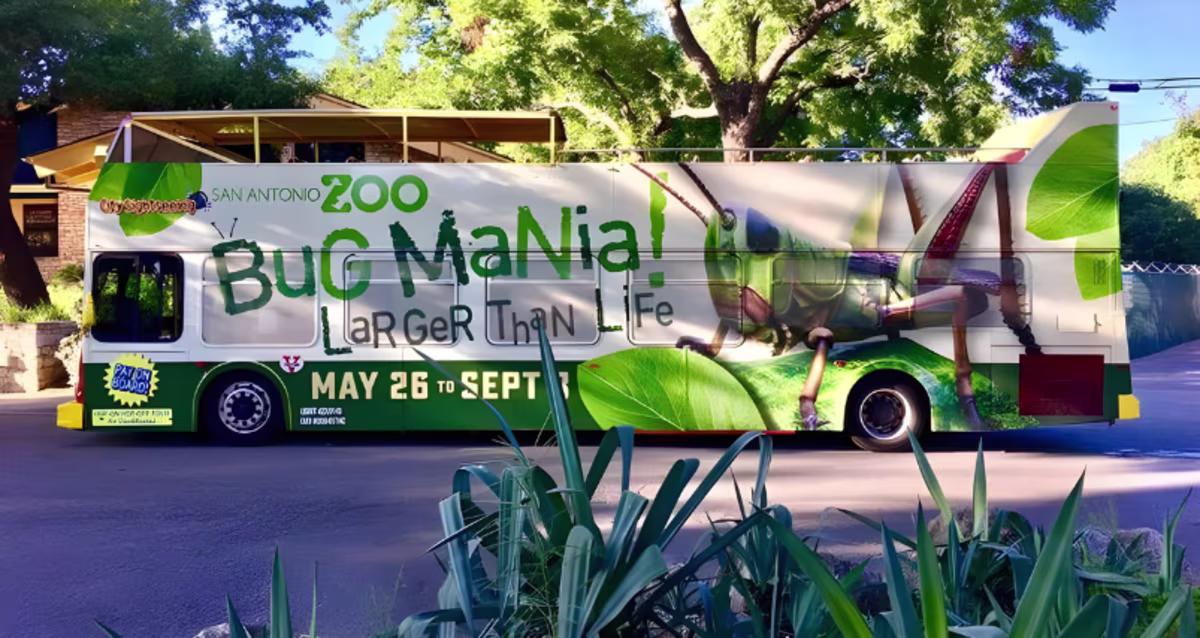 Bug Mania: Exploring the World of Insects