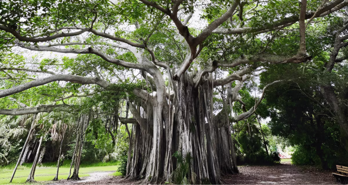 Taylor Birch State Park