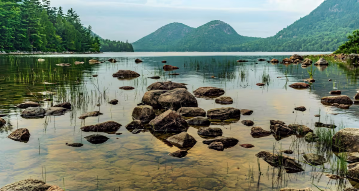 Bar Harbor Coastal area