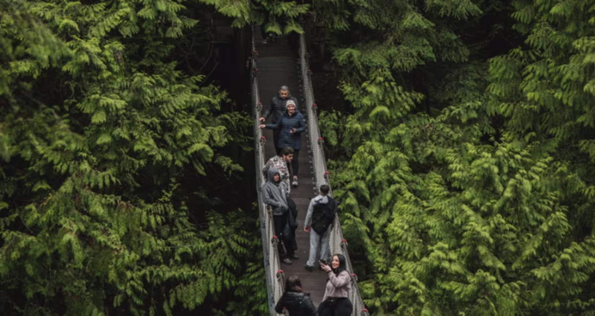 Lynn Canyon Suspension Bridge