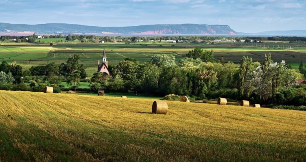 The Landscape of Grand Pré View Park