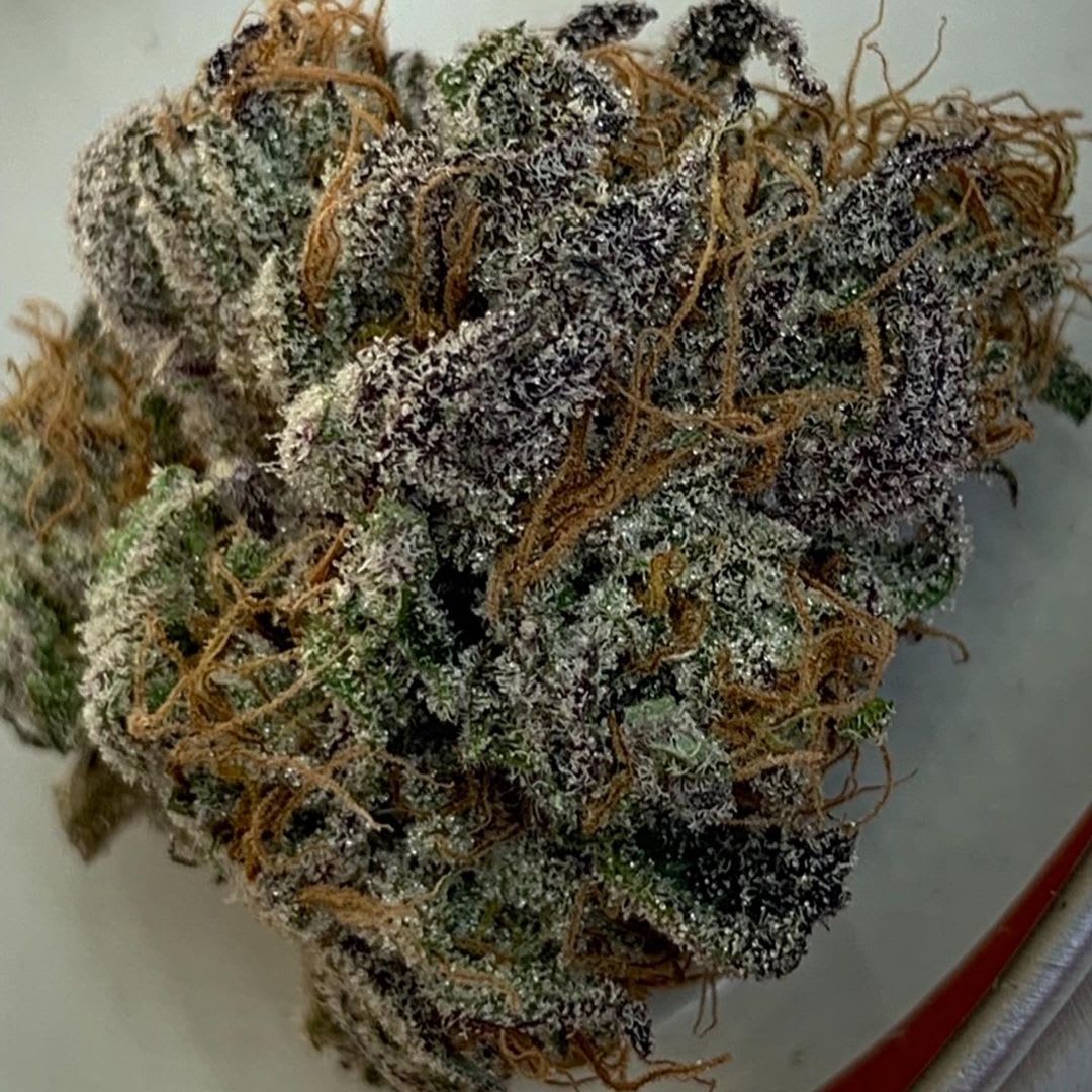Cultivar image 1
