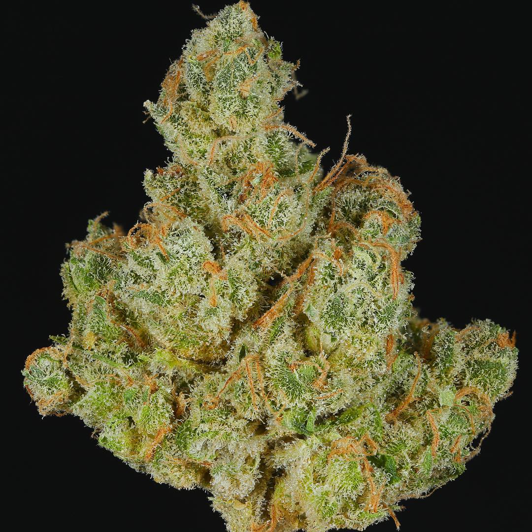 Cultivar image 1