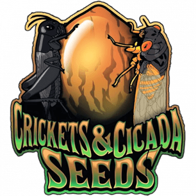 Crickets and Cicada logo