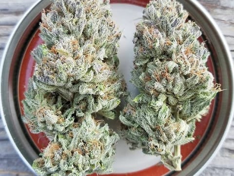 Blackberry Lotus