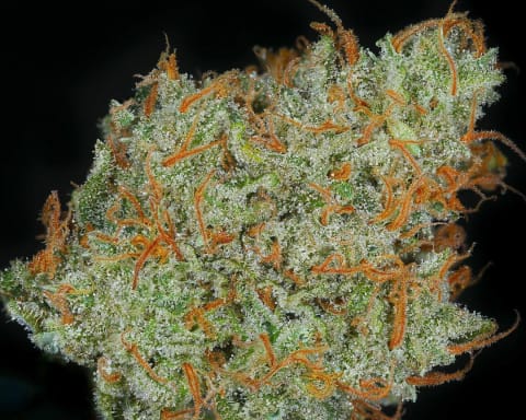 Supa Durban