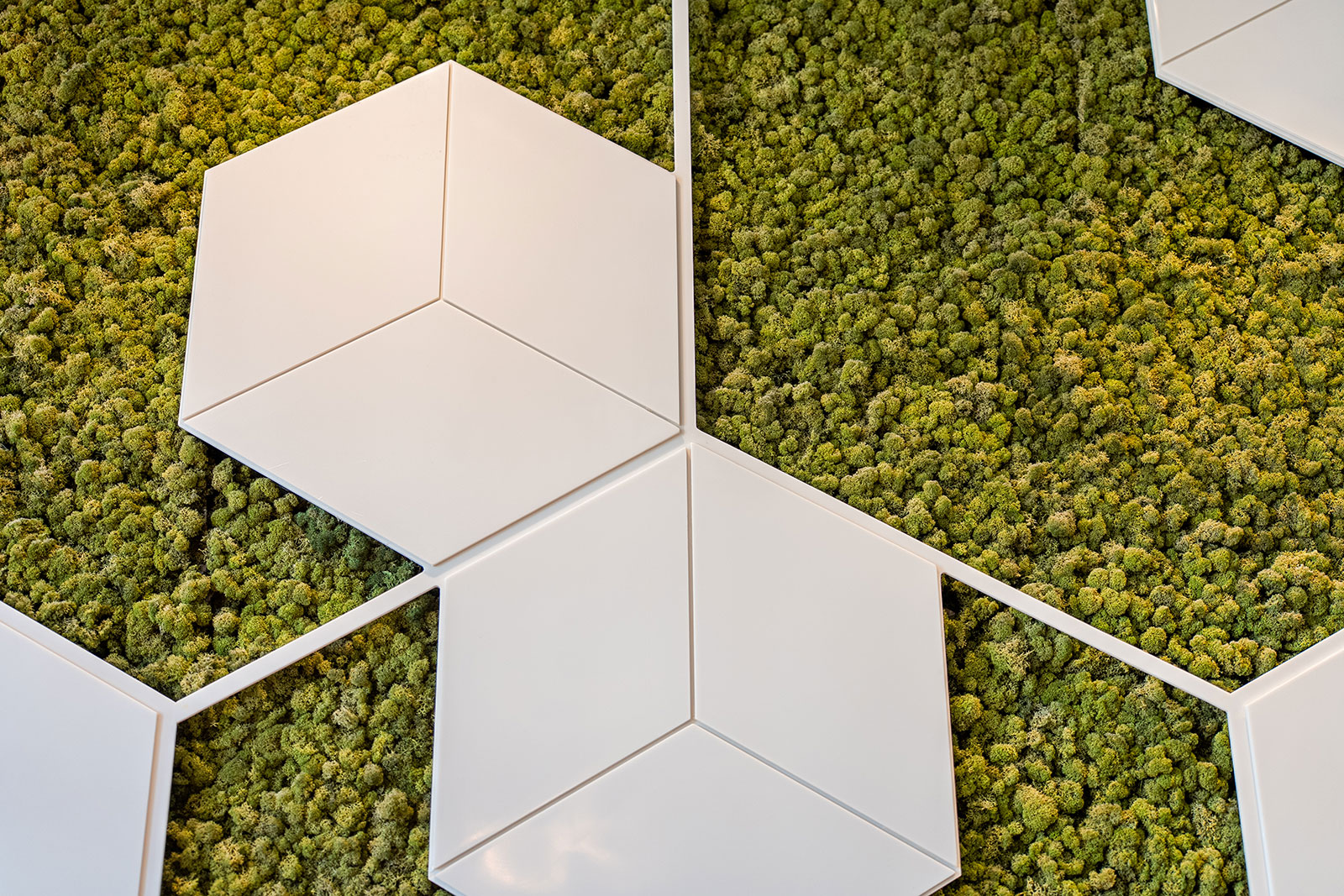 Diamond E1 and E2 Officesby Jeet Construction