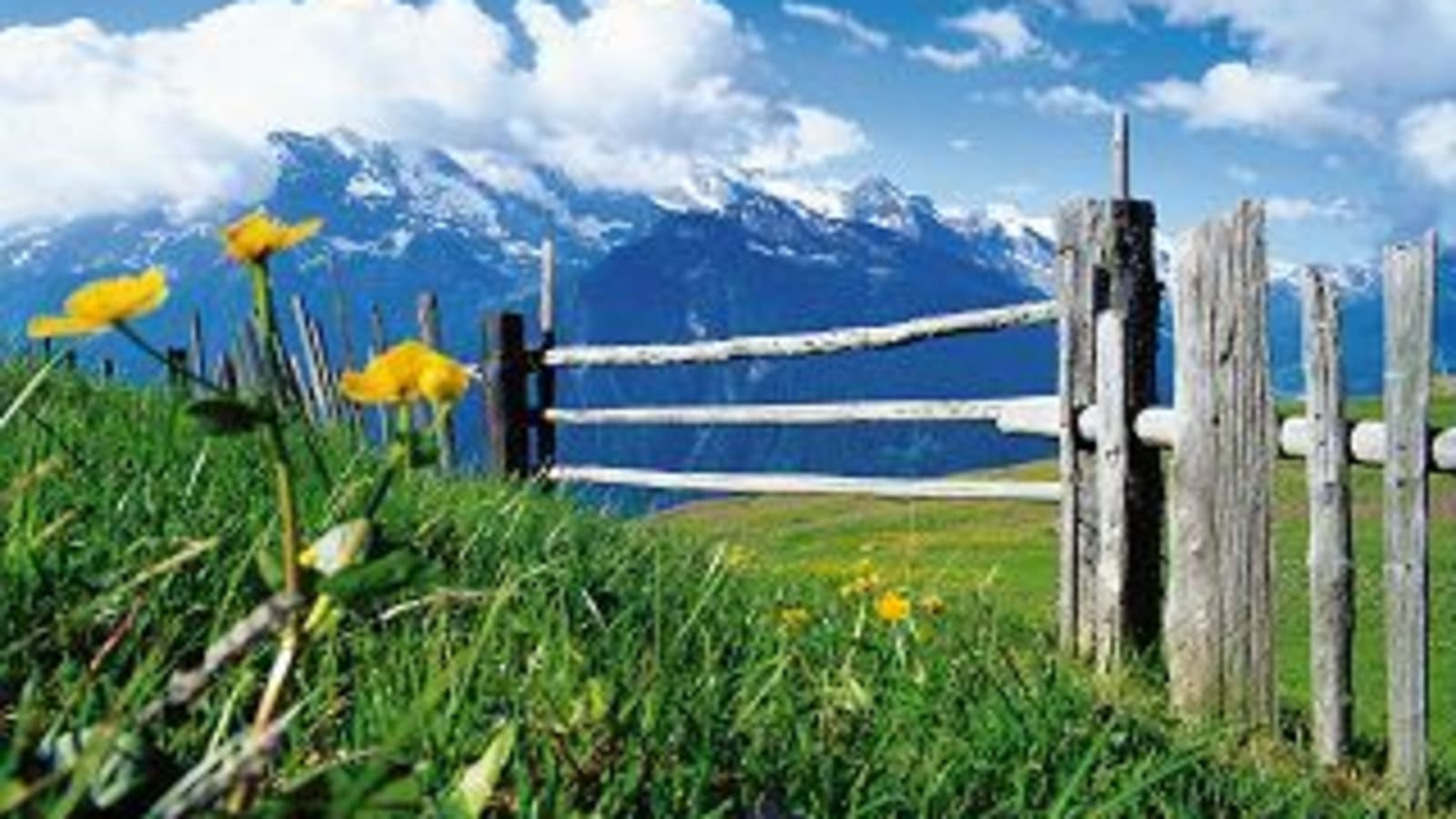 Bergsommer Angebot Bergsommer Angebot