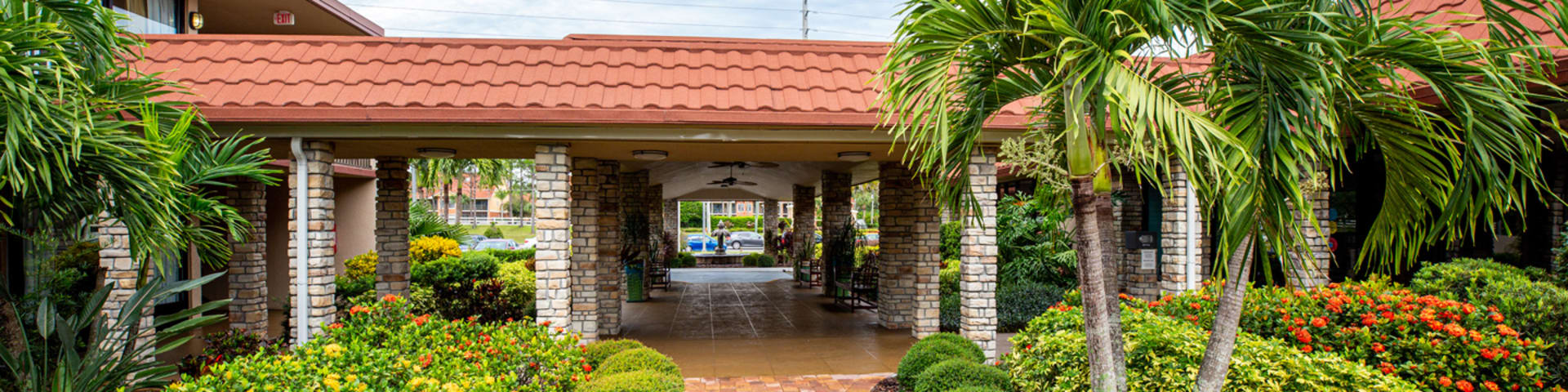 Magic Tree Resort Magic Tree Resort