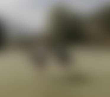 DRIVE & DIVE BOOST I 3 nights I 2026