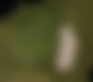 GOLF & RELAX Woche I 7 nights I 2026