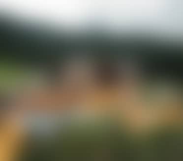 JOY.DAYS I 1 night for free