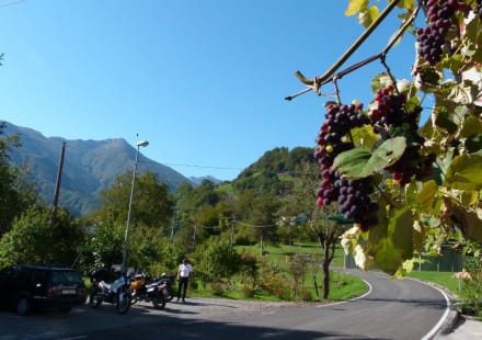 Giro d'Italia