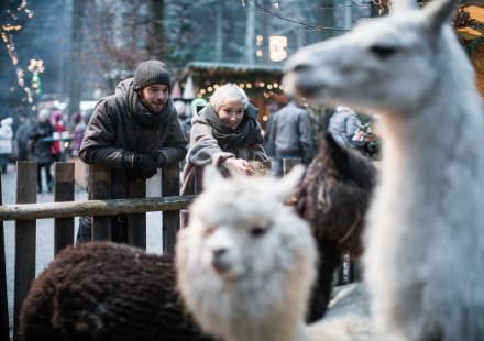 Advent OÖ Tourismus