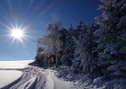 Winter im Mühlviertel