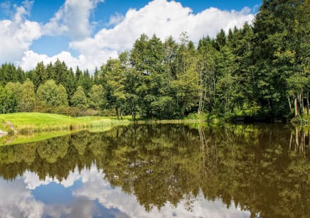 OÖ Tourismus, Golfen, Ausschnitt
