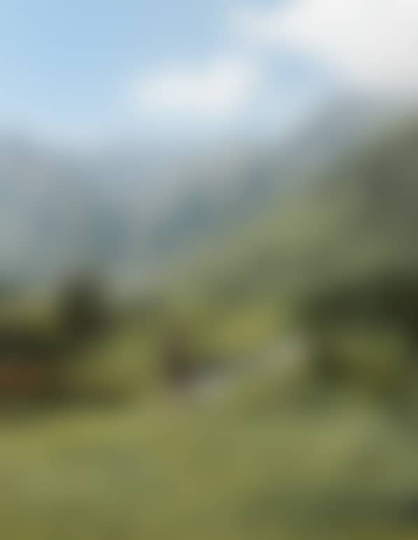 MOUNTAIN.LIFE | 7 nights I 2026