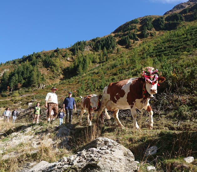 Farbenfroher Herbst mit Almabtrieben