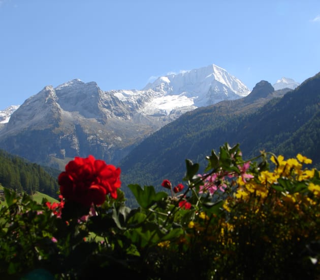 Spätsommer in Südtirol mit Almabtrieb