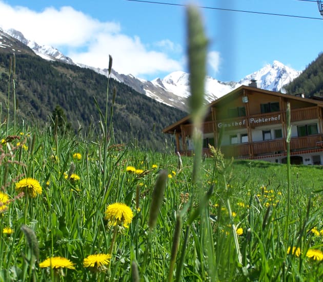 Flower magic at Riva di Tures
