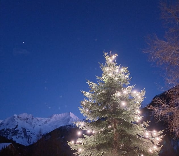 Weihnachtsfreuden