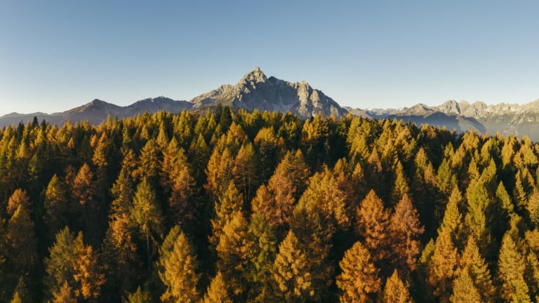 Angebotsbild