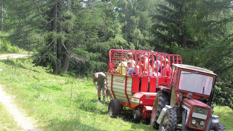 Bio- und Vitalbauernhof Bacherhof