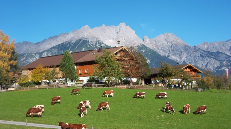 Appartement Vorderkasbichlhof - Pension Schmiderer