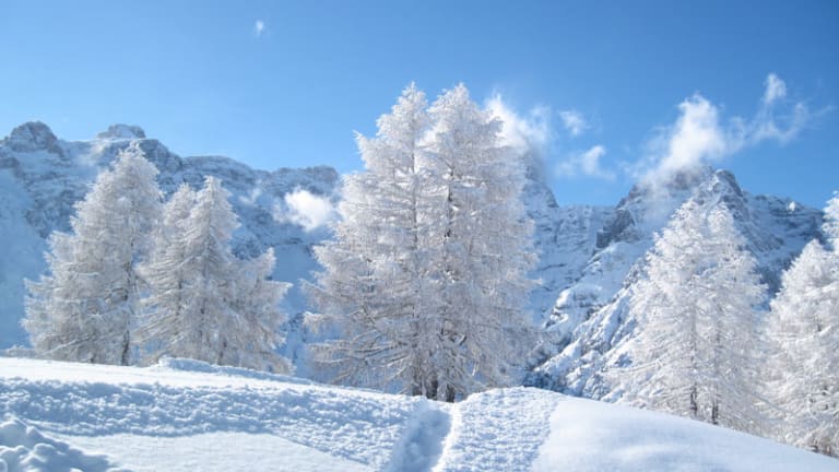 Immagine dell'offerta