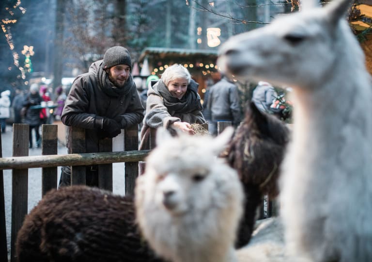 Advent OÖ Tourismus
