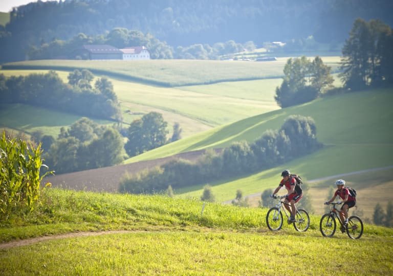 Mountainbiken im Muehlviertel OOE Tourismus Erber