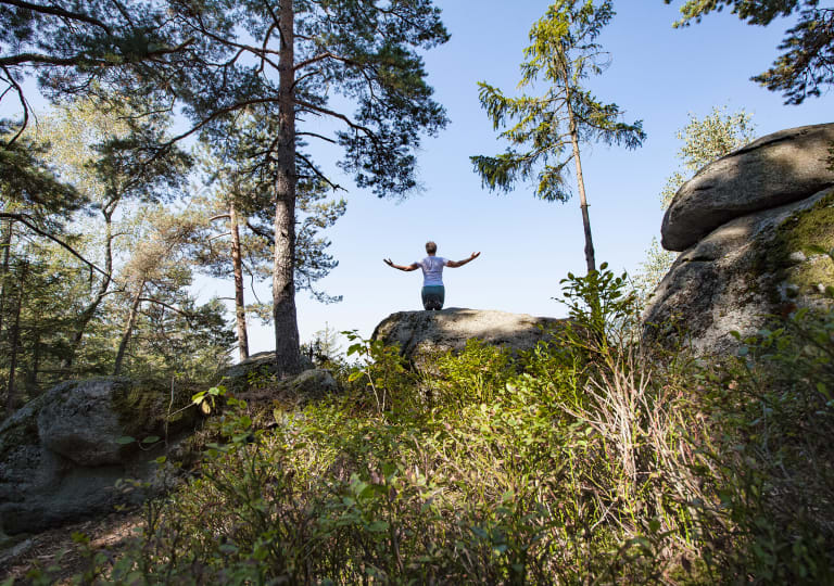 Wyda im Mühlviertel