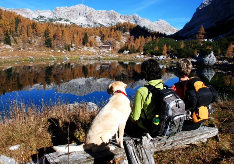 Urlaub mit Hund