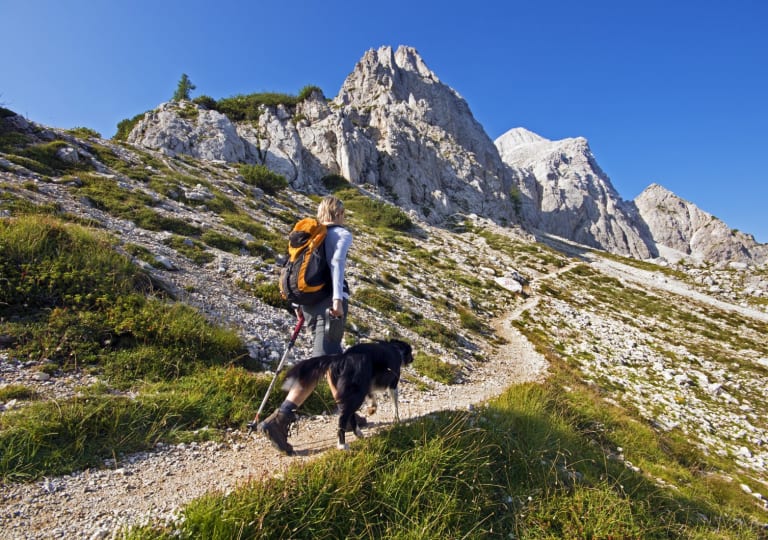 Urlaub mit Hund
