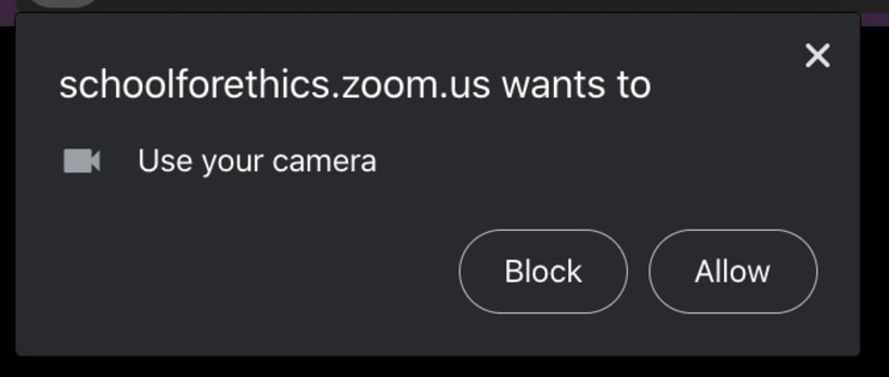 zoom screenshot asking to use camera