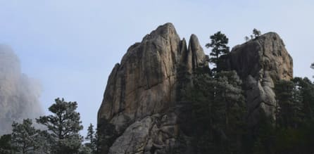 black hills in south dakota