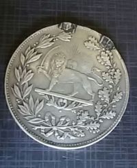 سکه سلطان افخم
