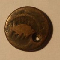 تشخیص نوع سکه 